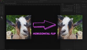 How to flip image in Photoshop