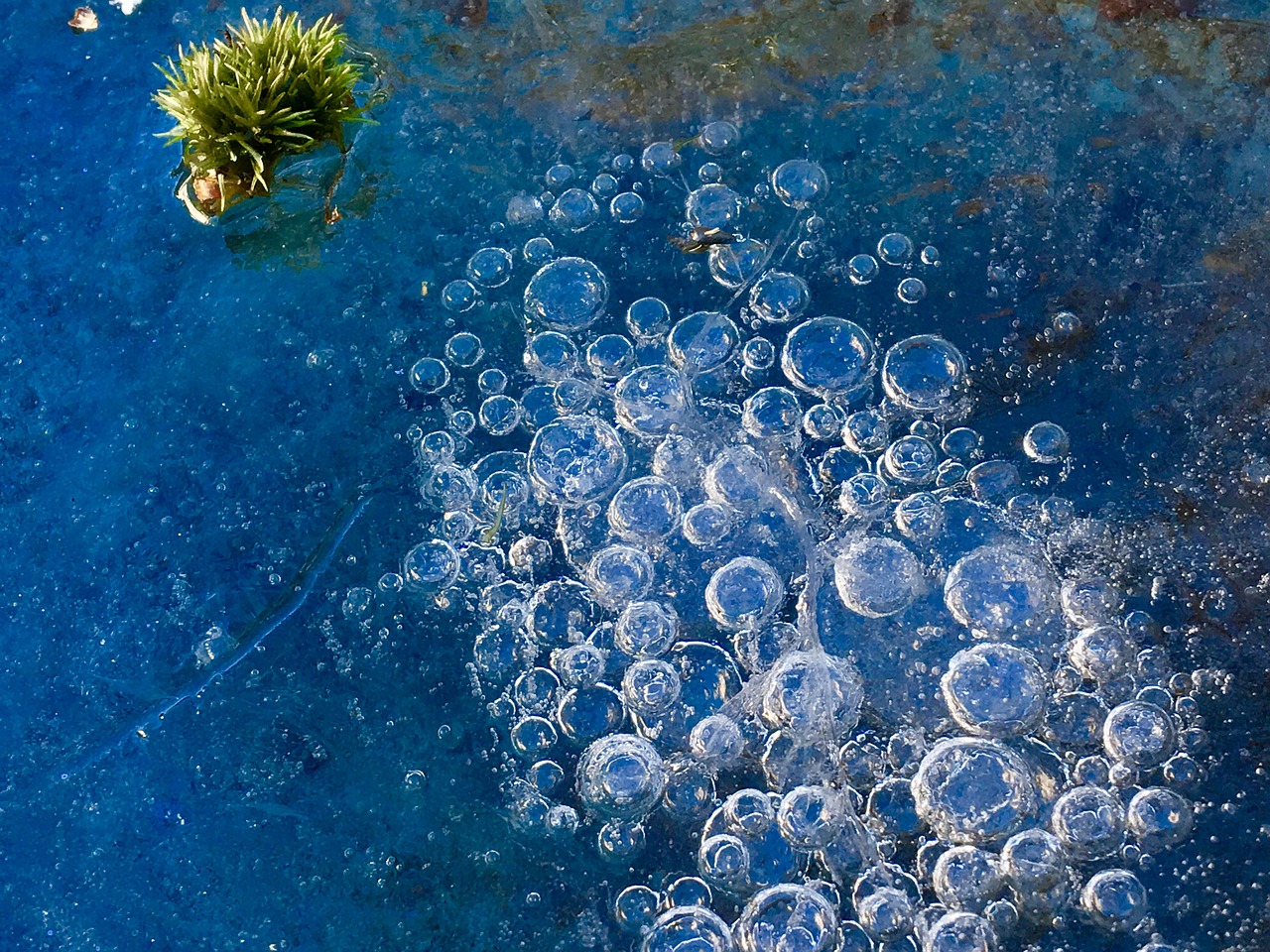 Почему в воде пузыри. Мыльные пузыри. Мыльные пузыри на воде. Ледяные мыльные пузыри. Ледяной пузырь.