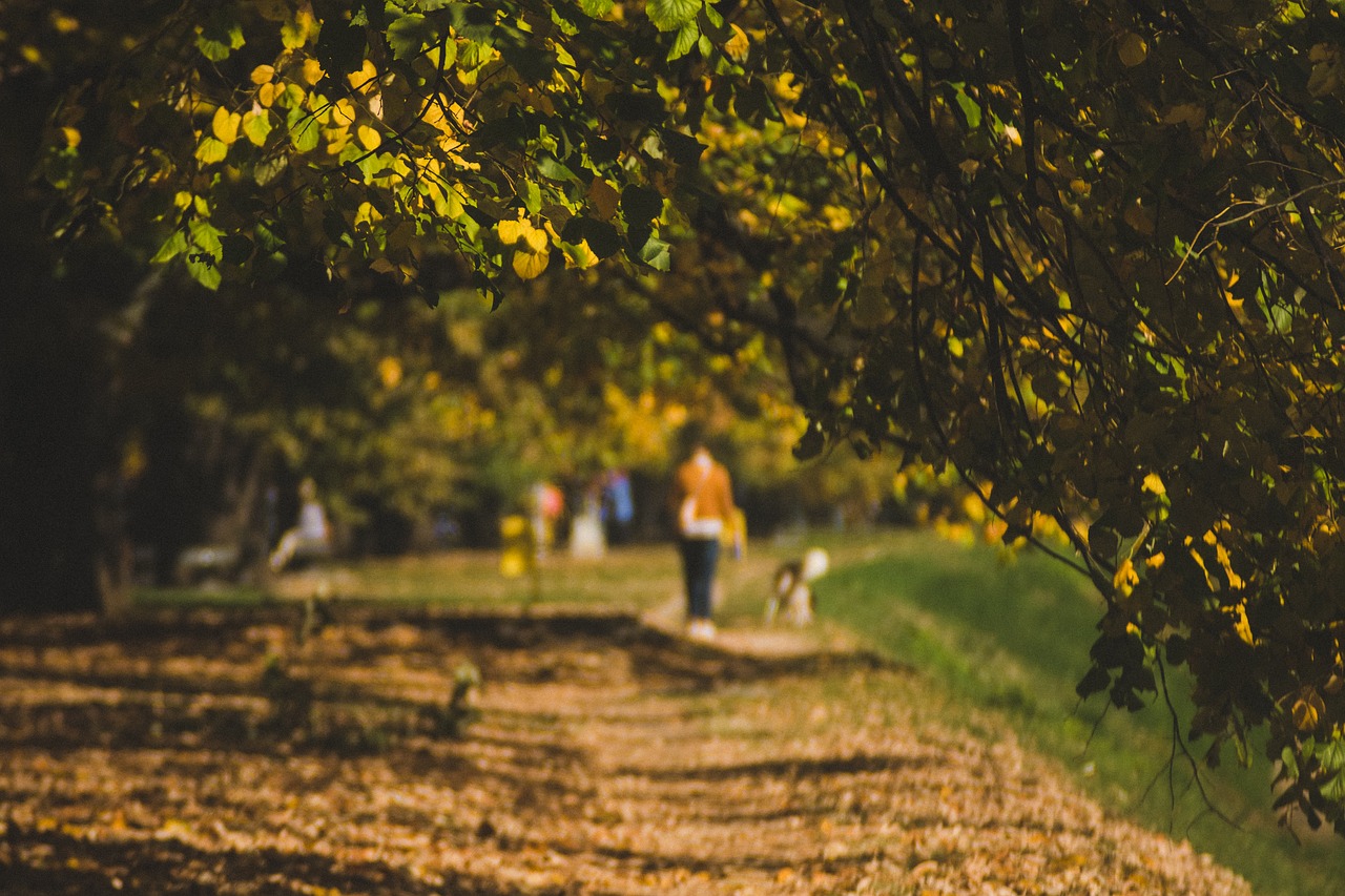 Не спеша шли по тропинке. Приятной прогулки. Девушка идет по тропинке. Autumn walk. Фото с пленки природа парк.