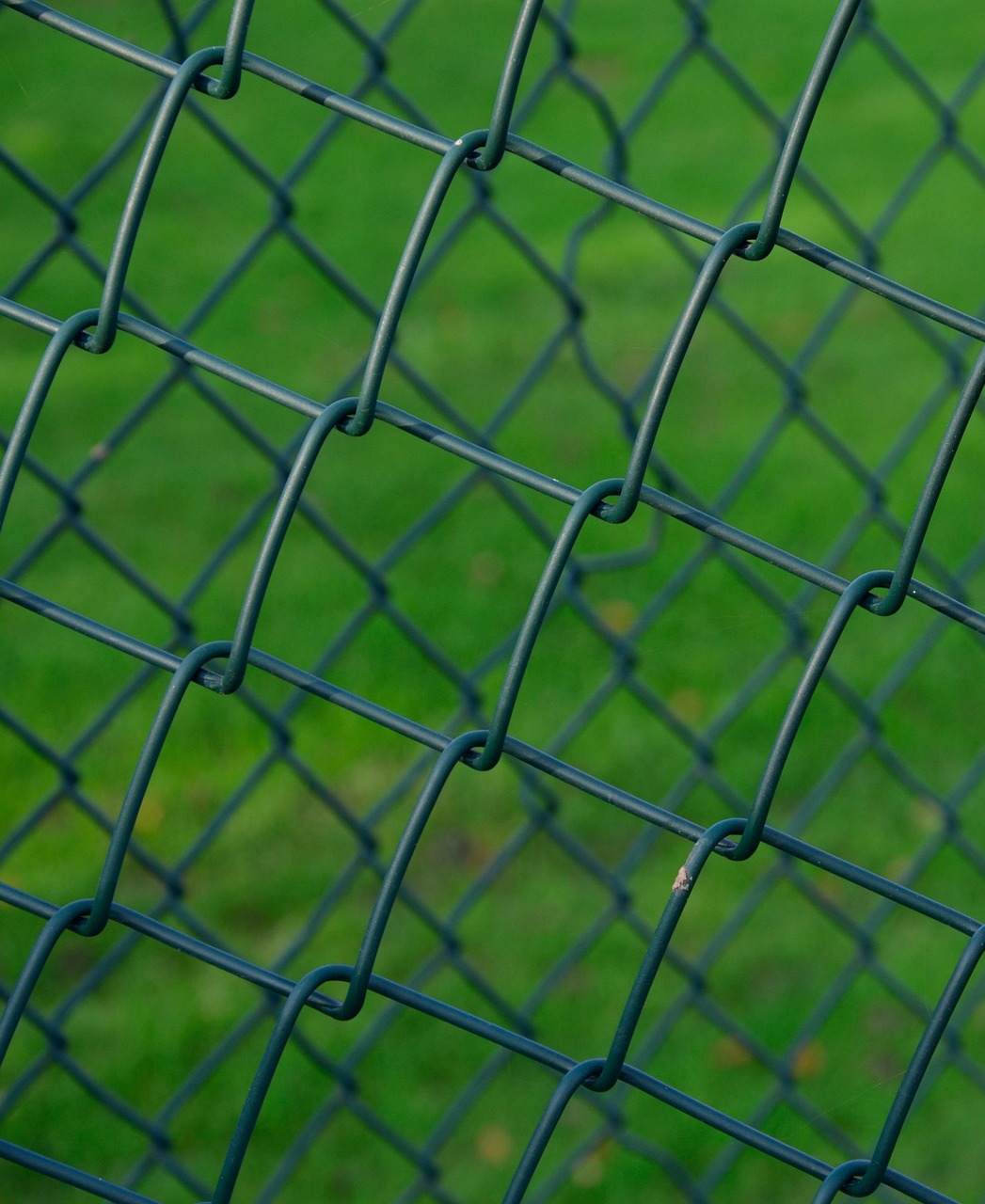 Забор сетка зеленая купить. Сетка рабица 100х100х3. Сетка заборная. Сетка заборная металлическая. Сетка для забора металлическая.