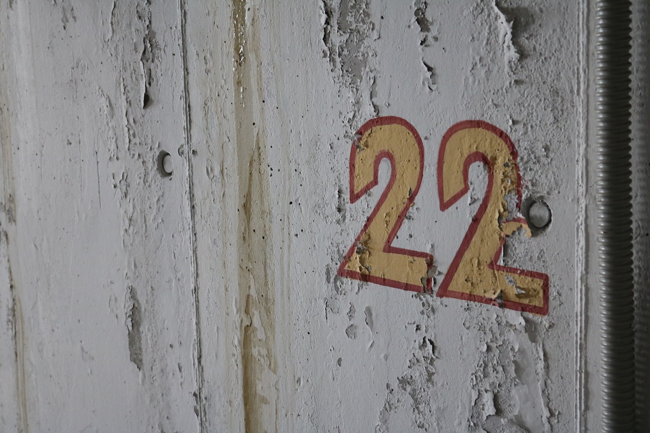 22 числа ноября. Номер на гараж. Цифра 22. Цифры на гараж. Номера на гаражных воротах.