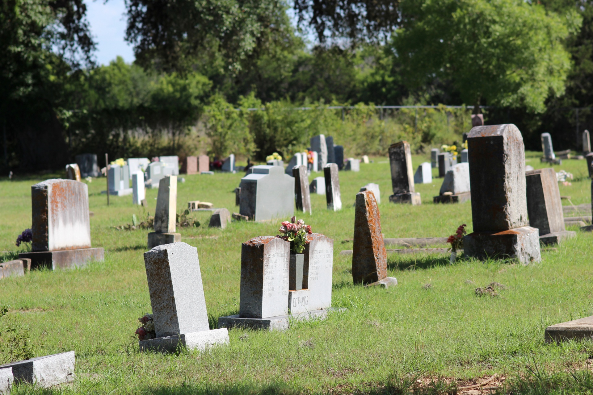 Почему названо кладбище. Кладбище. Кладбище в Европе. Кладбище без людей.