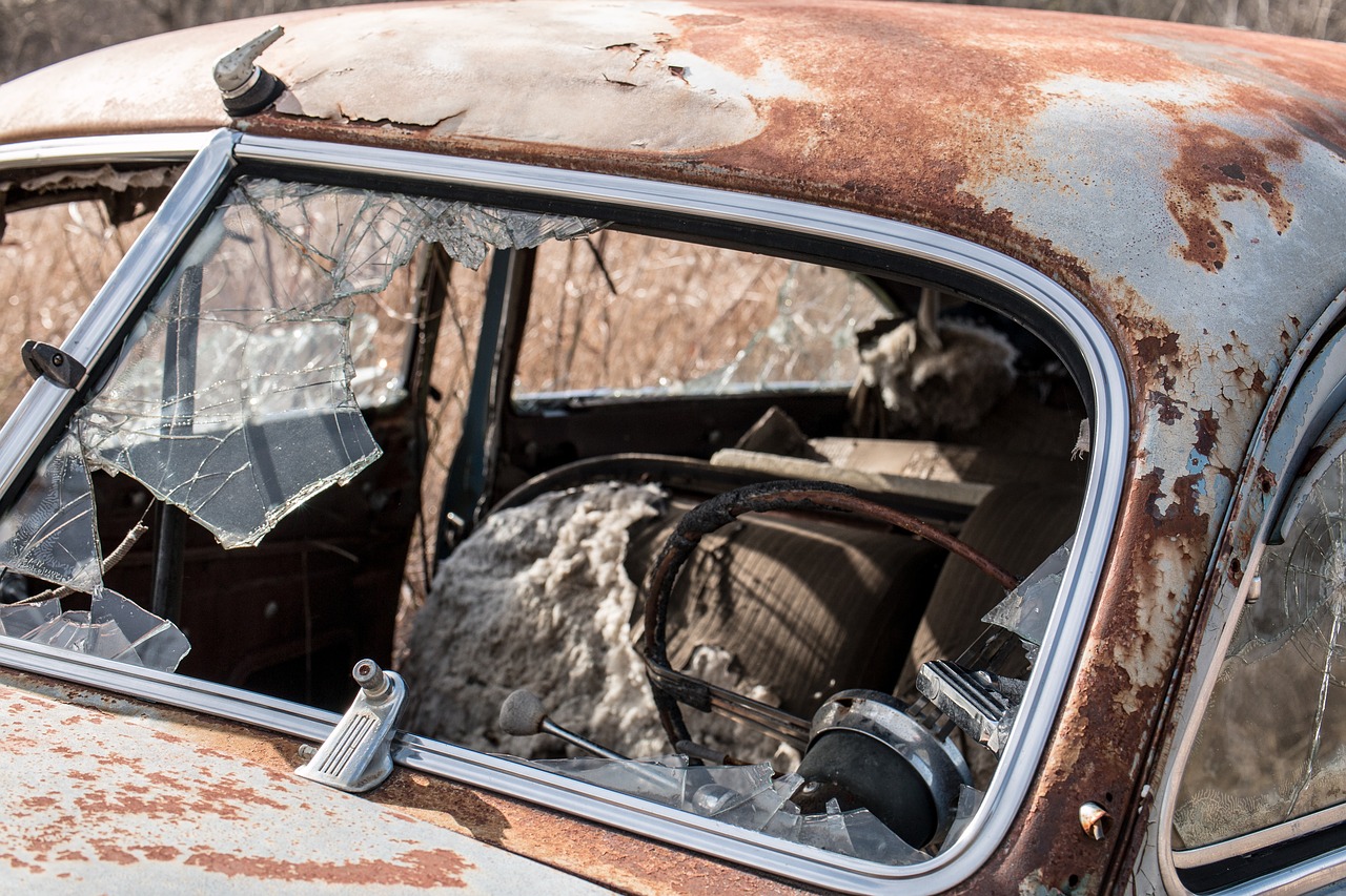 Auto decay rust фото 9