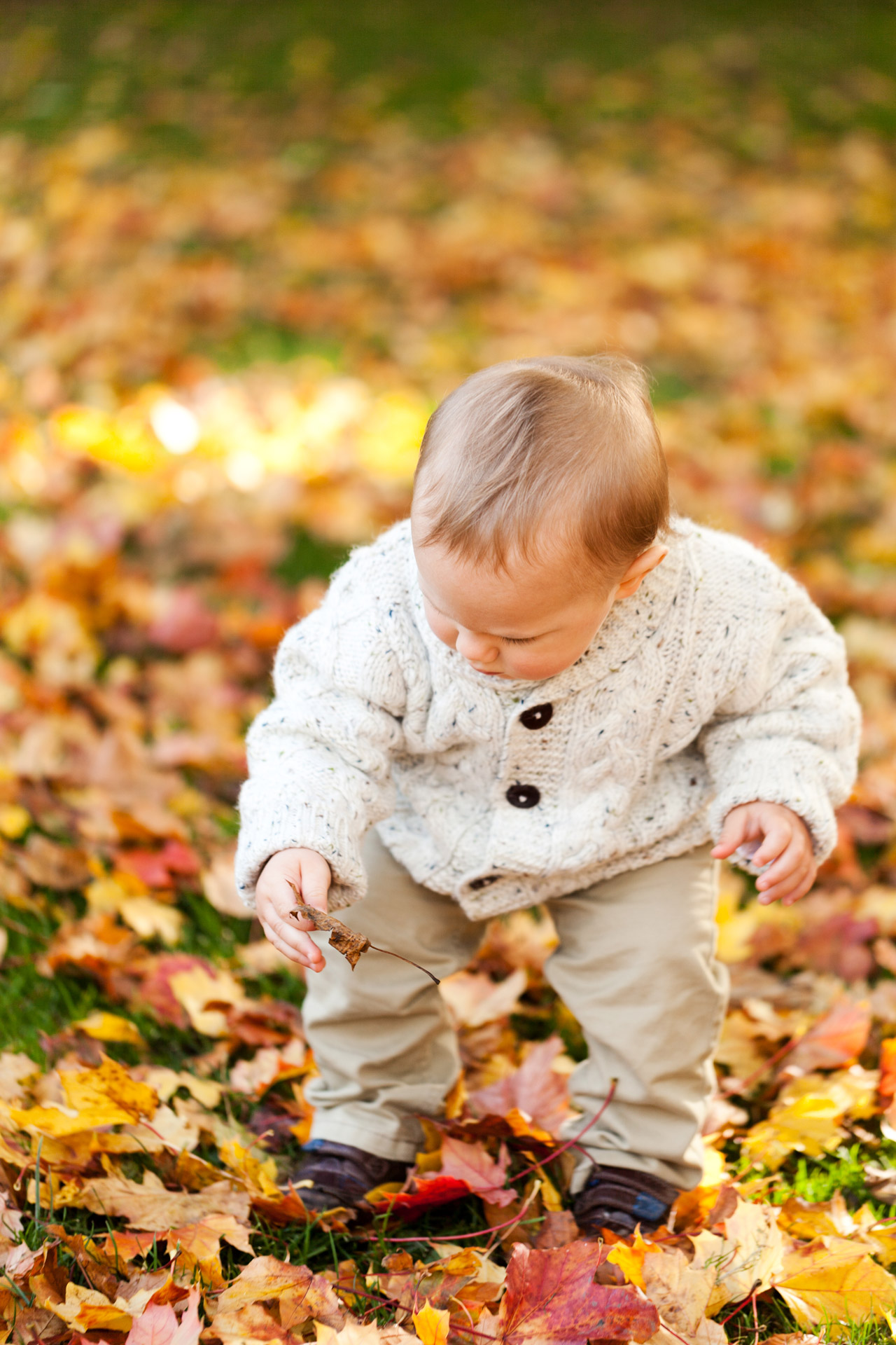 Он любит играть листьями. Осень для детей. Дети в осенней листве. Осенние фотографии детей. Осень картинки для детей.