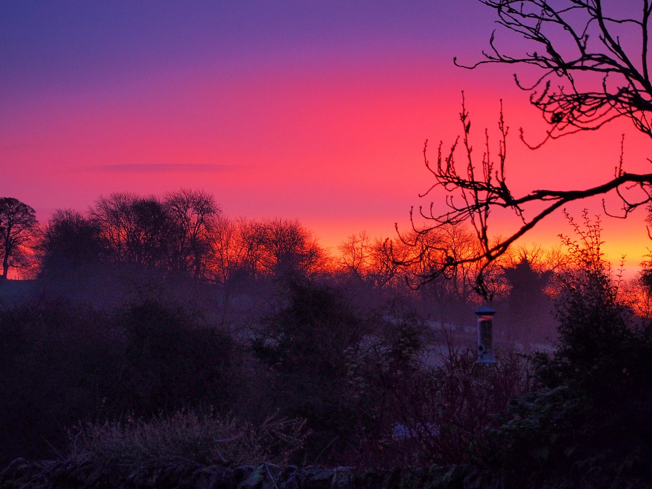 Download free photo of Sunrise,winter,frost,countryside,trees - from ...