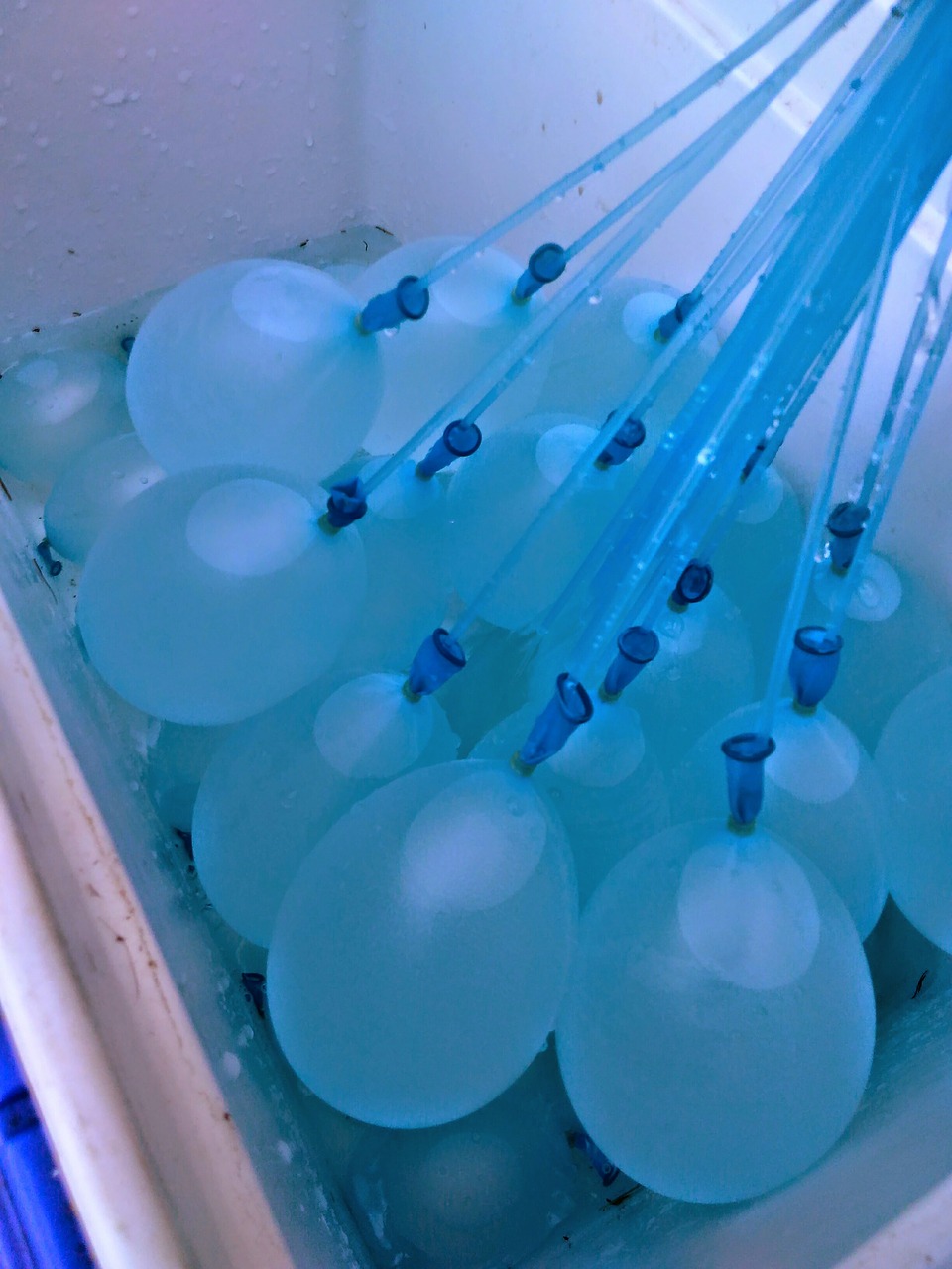Воздушные шарики с водой. Шар воды. Водяные шарики. Шары на воде. Водяные шары с водой.