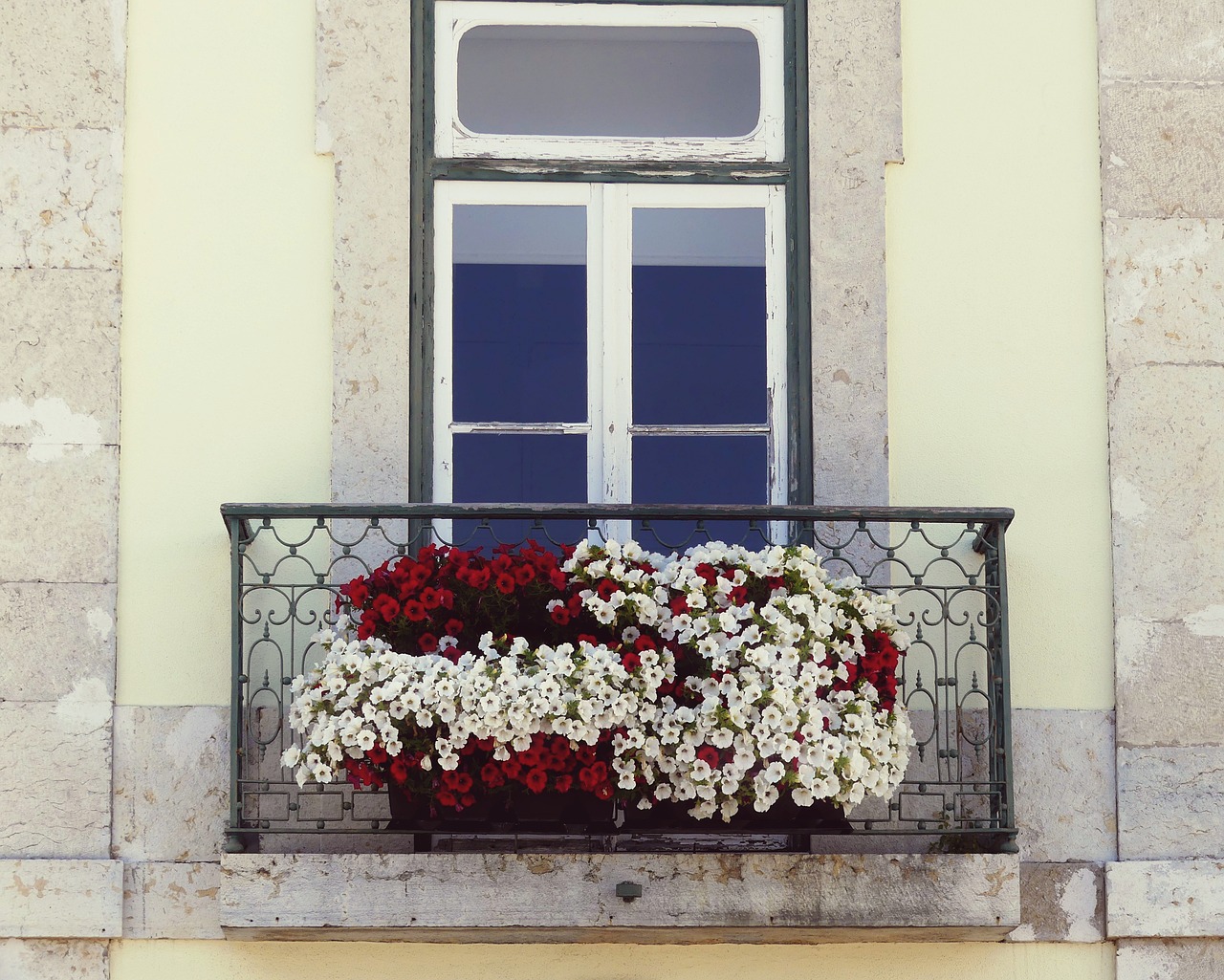 Северный балкон. Французский балкон с цветами. Цветы на французском балконе. Открытый балкон с цветами. Растения для французского балкона.