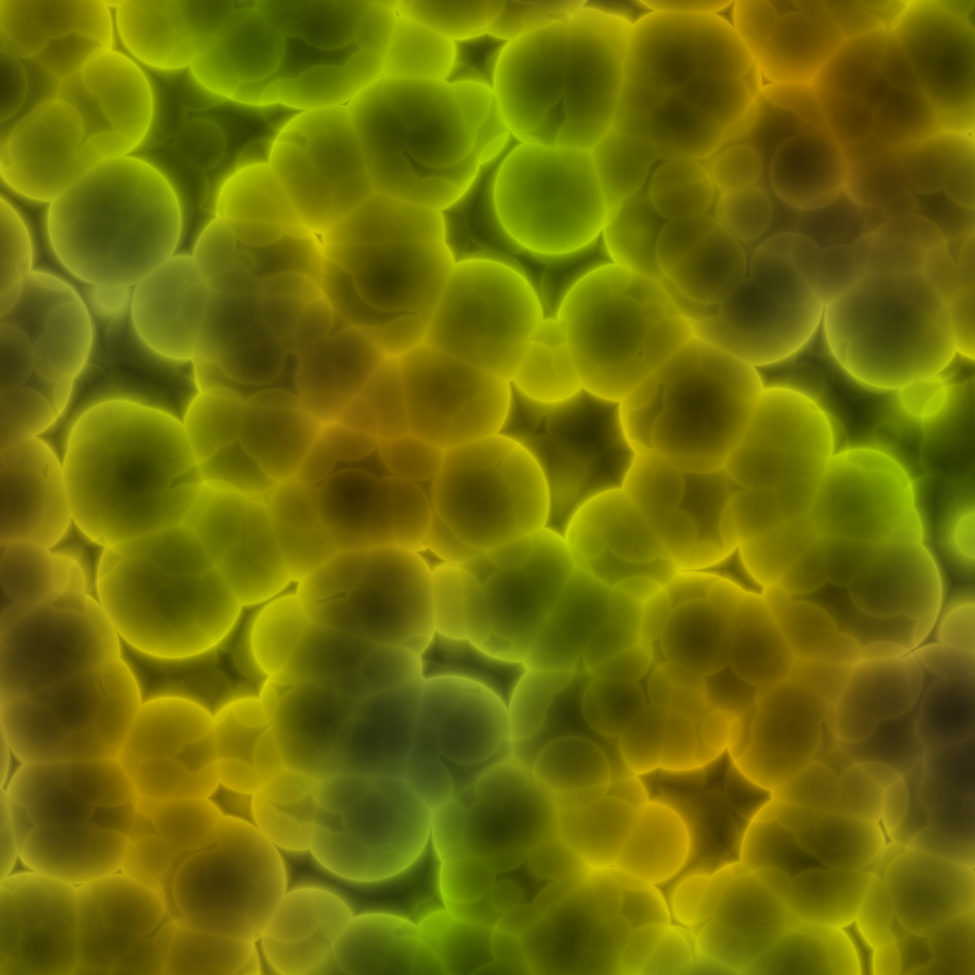 Желтые бактерии. Бактерии. Микроорганизмы под микроскопом. Бактерии под микроскопом.
