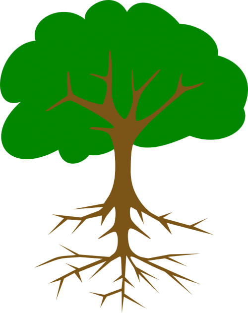 Корни картинка для детей. Дерево с корнями и кроной. Дерево с корнями и листьями. Дерево с корнями и ветвями. Ствол дерева с корнями.