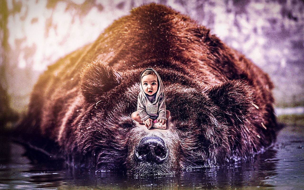Baby And The Bear Photoshop Manipulation Color Grading Free Photo.
