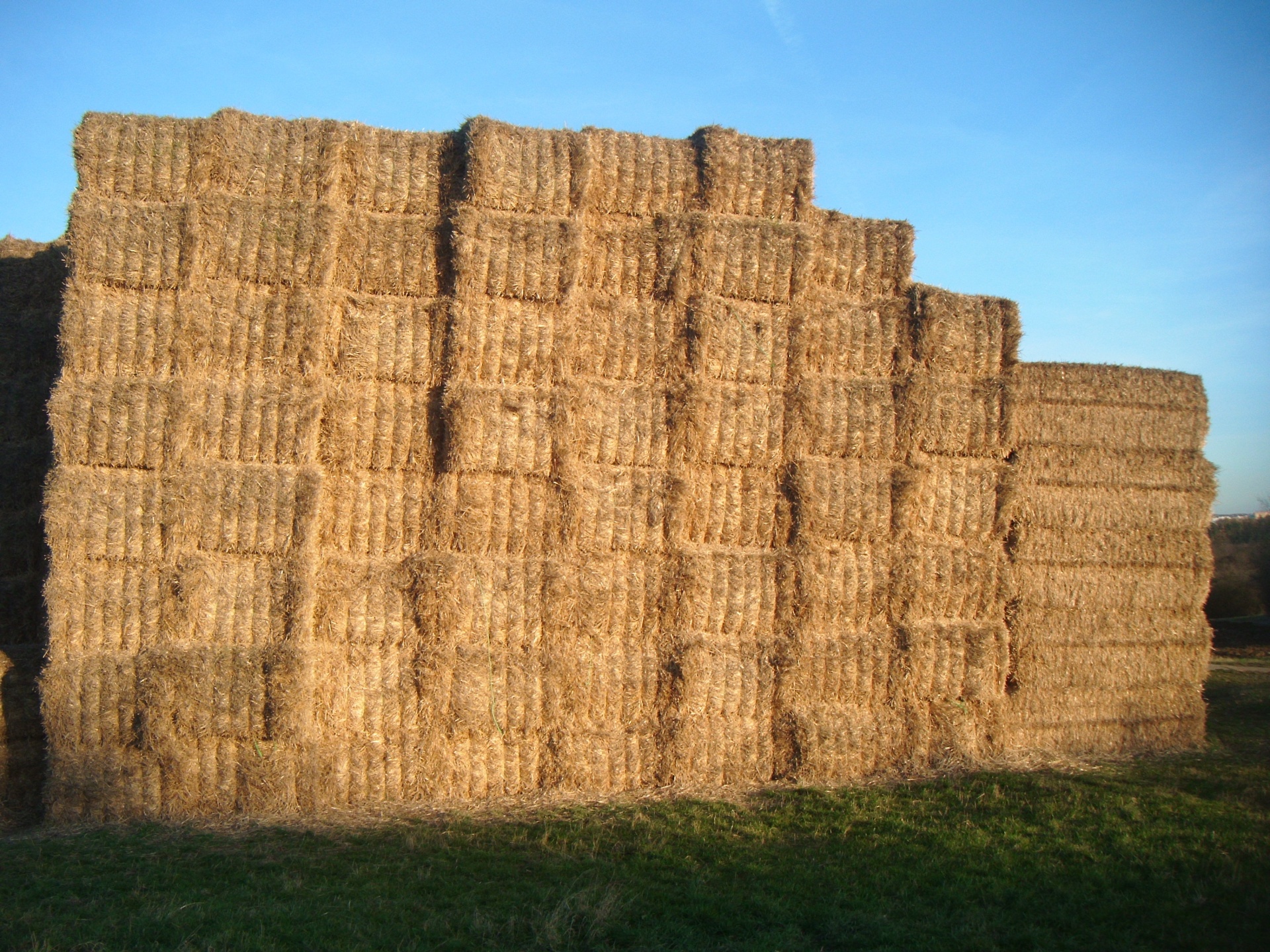 Download Hay Bales Fields Free Photo.