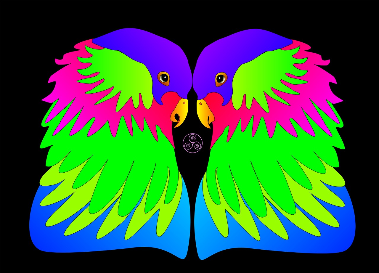 Разноцветный попугай рисунок. Попугай на темном фоне. Попугай на Цветном фоне. Тест цветной попугай. Colorful love