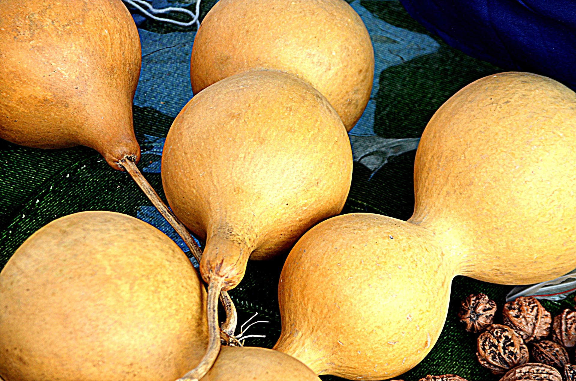 Download Food Bottle Gourd Calabash Free Photo.