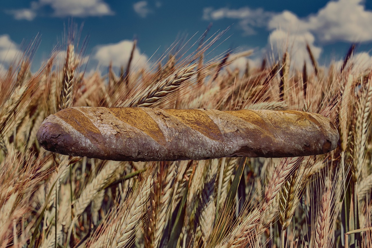 Download Bread Wheat Food Free Photo.