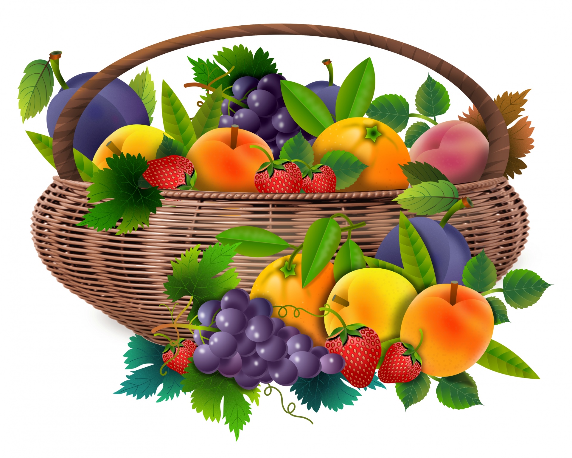Download Fruit Basket Orchard Free Photo.