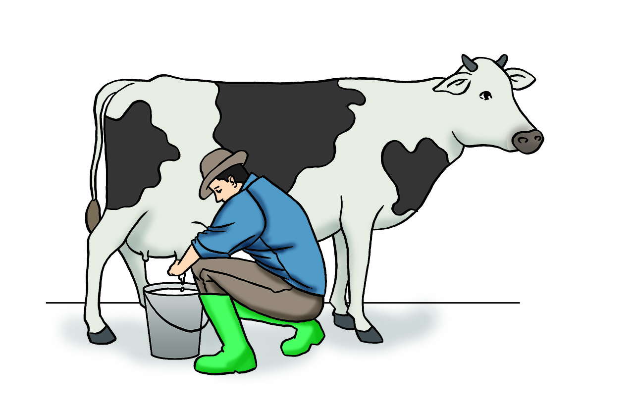 Download Cow Milking Dairy Free Photo.