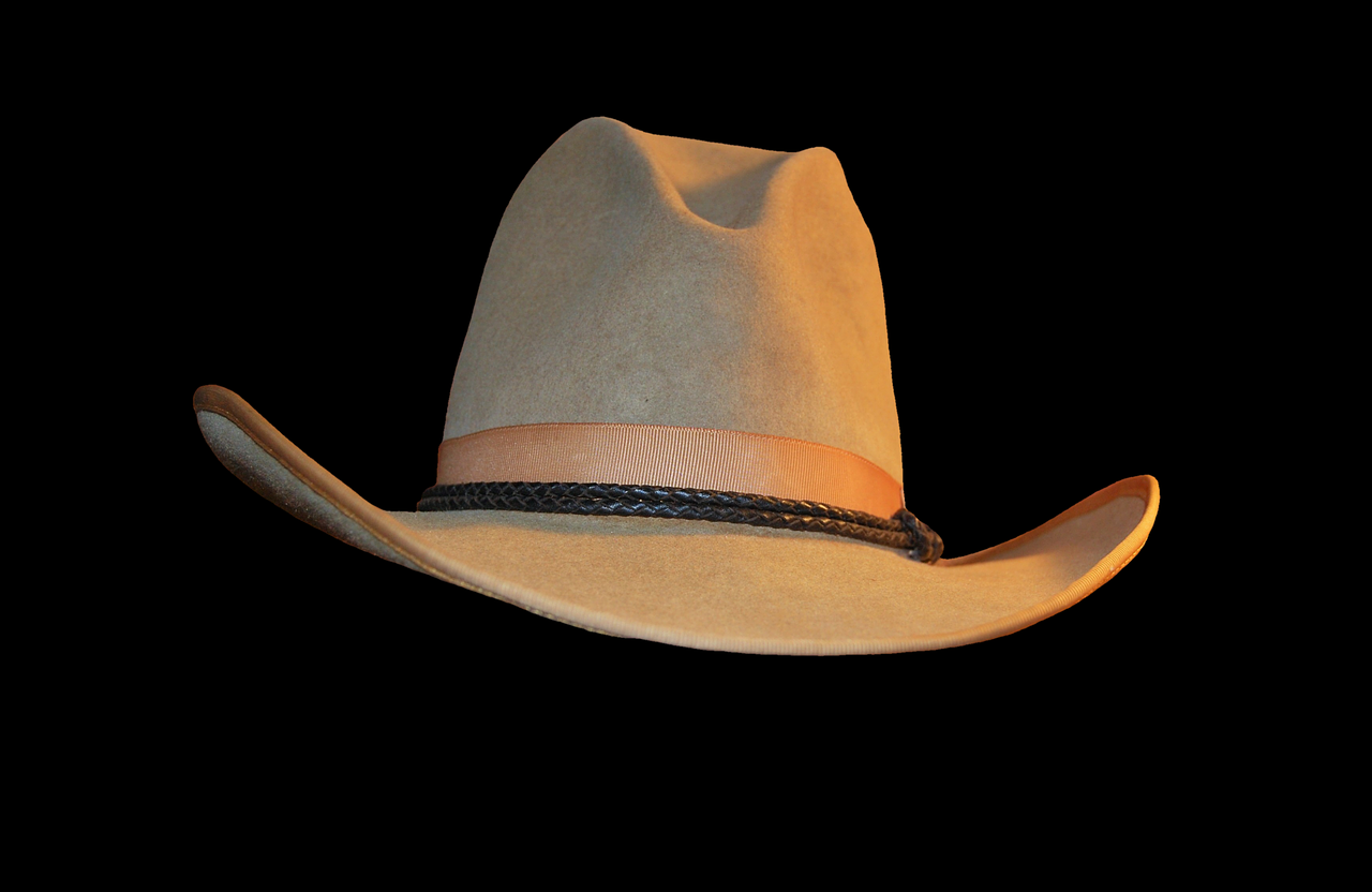 Download Cowboy Hat Hat Hutkrempe Free Photo.