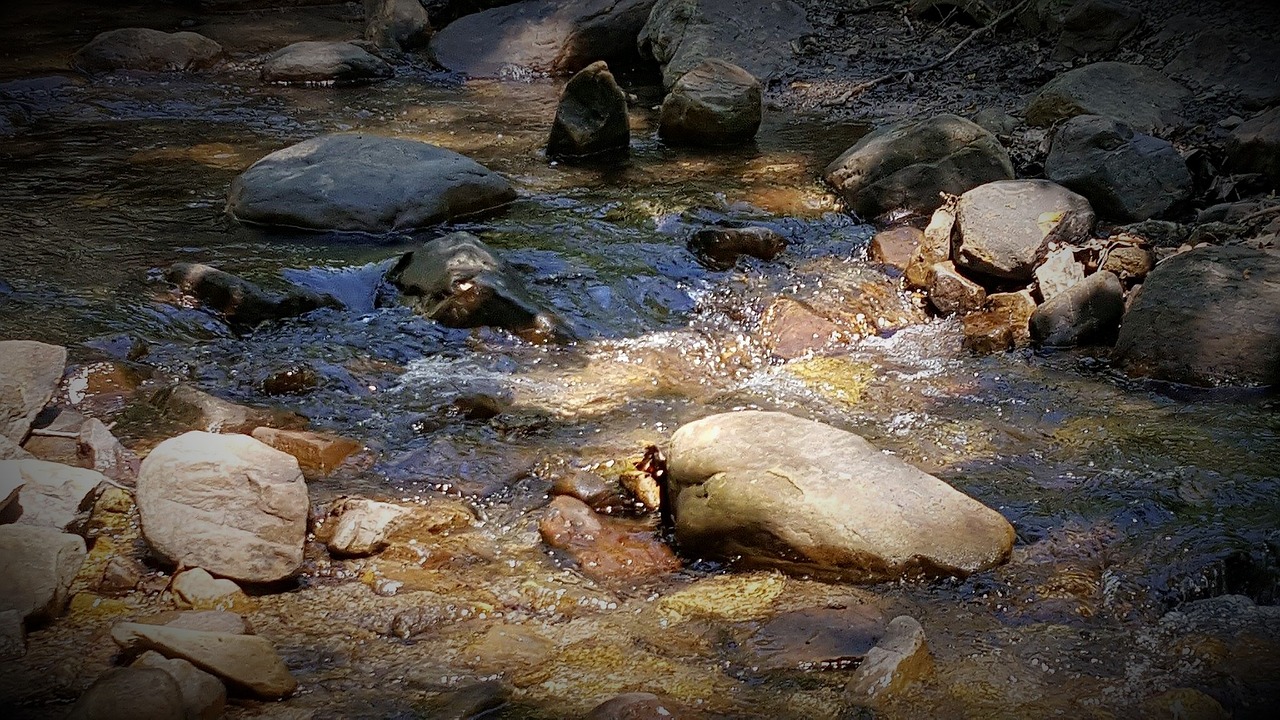 Усталая мокрую землю. Ручеёк спокойствия. Creekwater. Исчерпал воду в ручье картинка. Coldwater Creek Labradors.