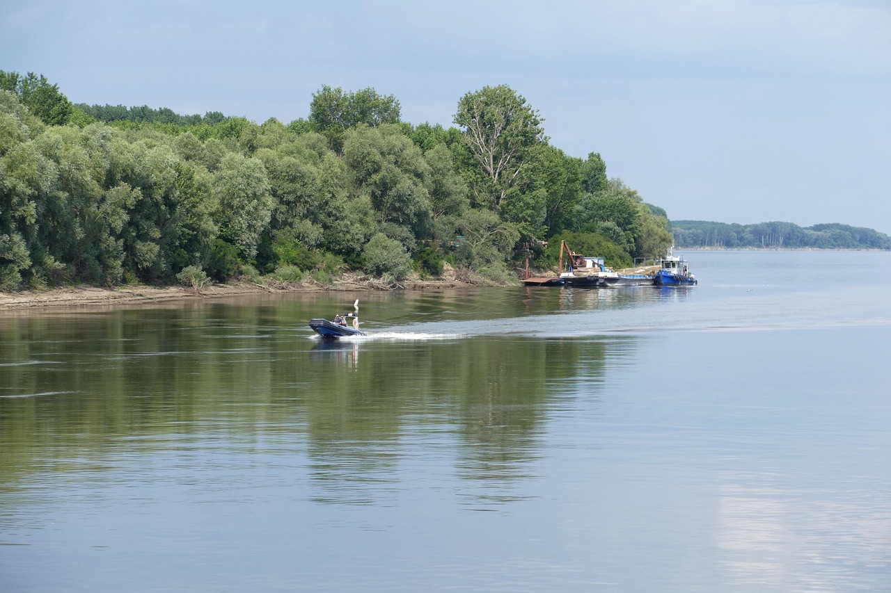 Песня вышла мадьярка на берег. Река Дунай Болгария. Дунай Венгрия. Берег на реке Дунай. Дунайский берег Венгрия.