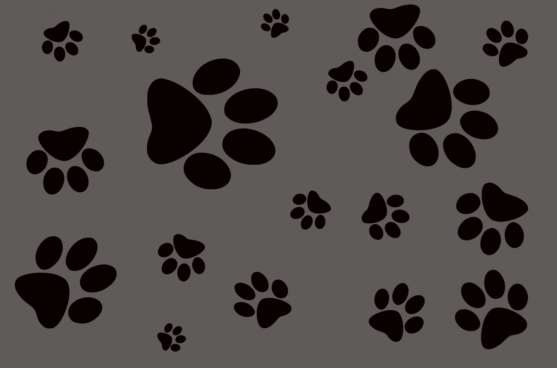 Download Background Pawprint Cat Free Photo.