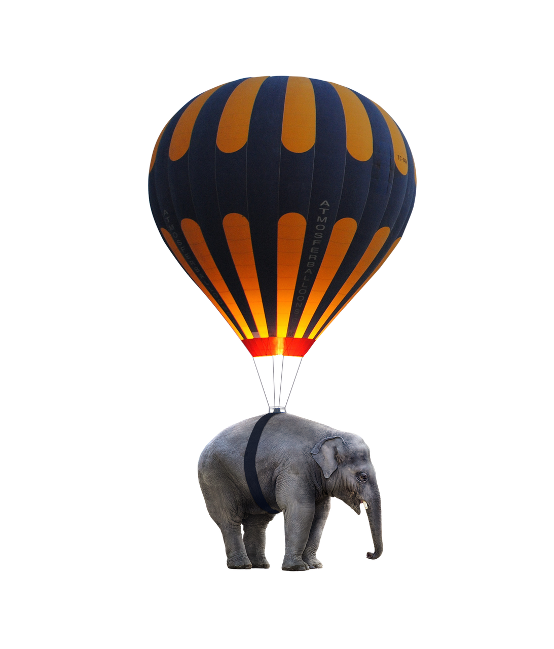 Balloon fly. Слон на шаре. Слоны на шаре. Воздушный шар полет. Слон воздушный шар.