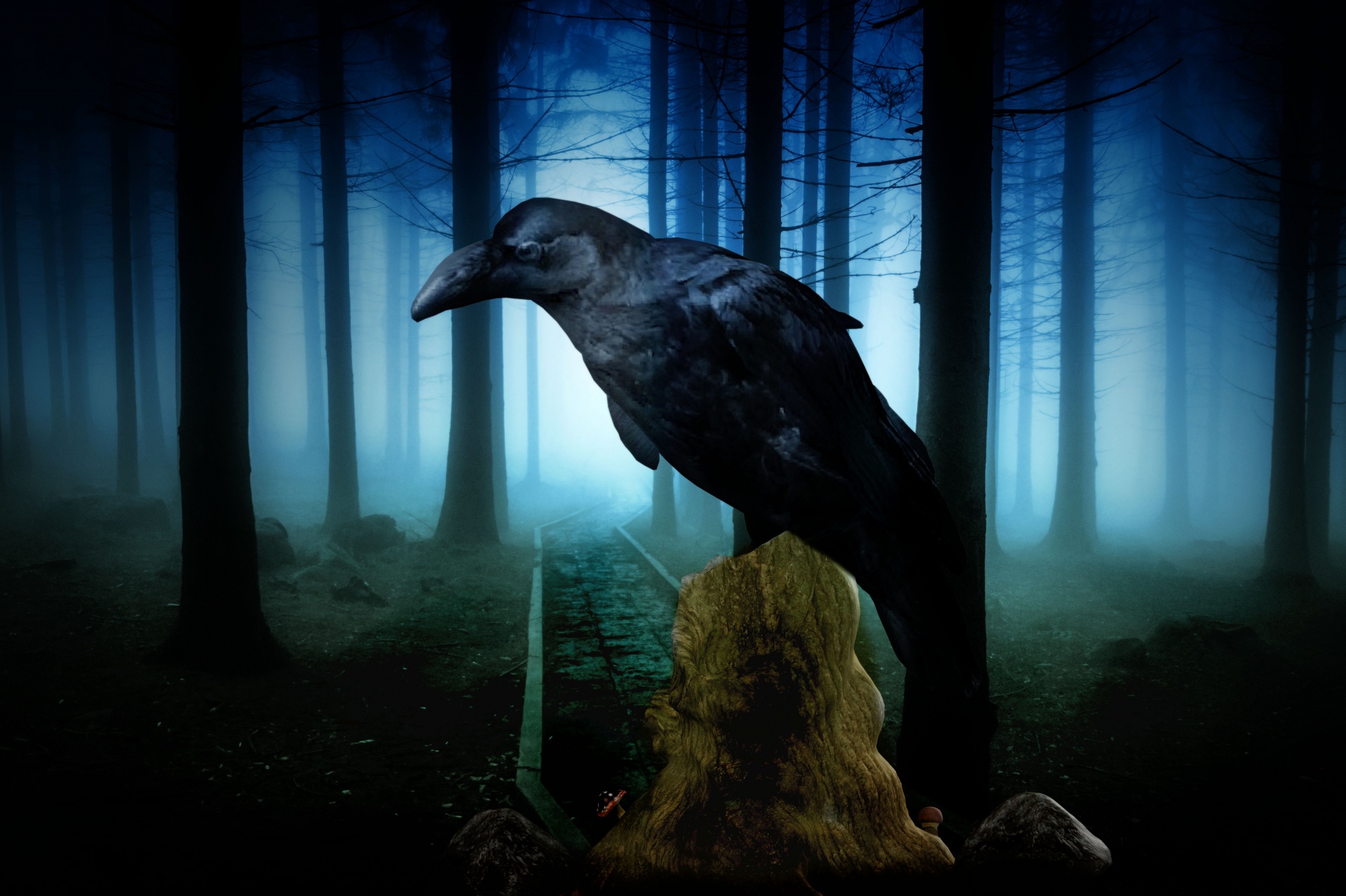Raven the goddess Greek Mythology