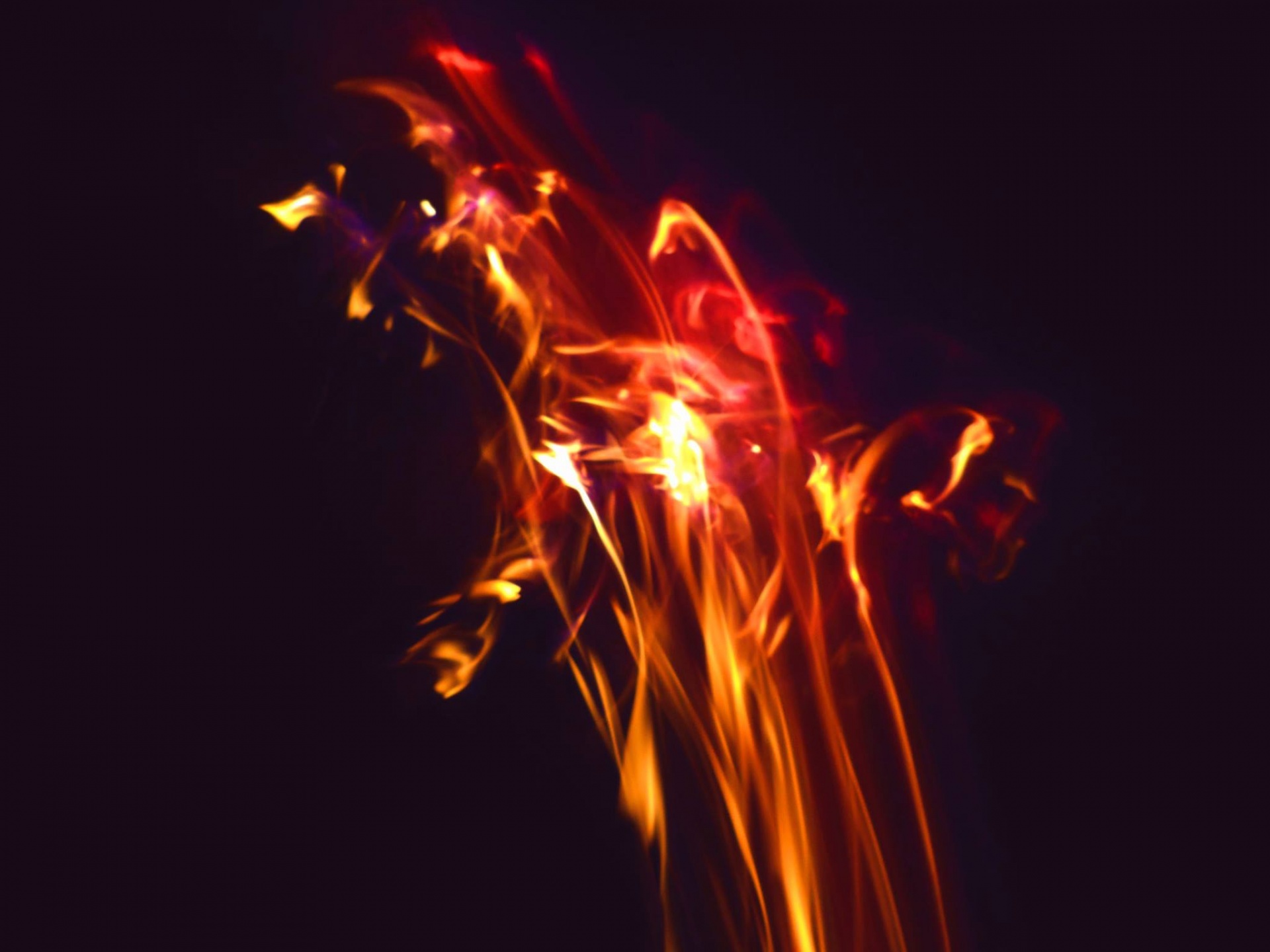 Download Bonfire At Night Fire Abstract Photography Free Photo.