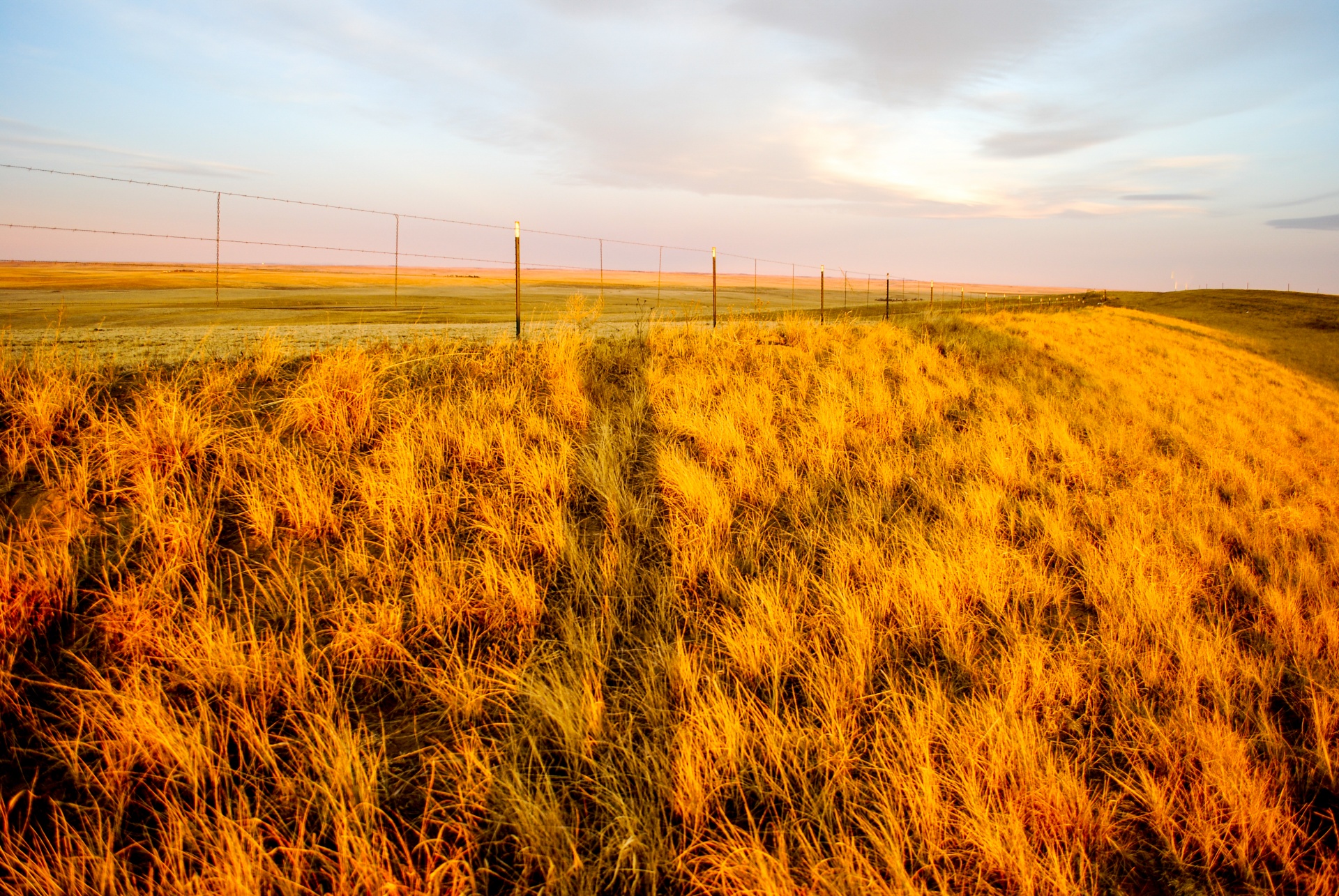 Golden roads. Прерия Канзас. Канзас степь. Штат Канзас природа. Пшеничный штат Канзас.