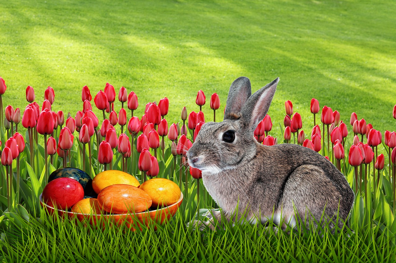 Download Grass Easter Meadow Free Photo 
