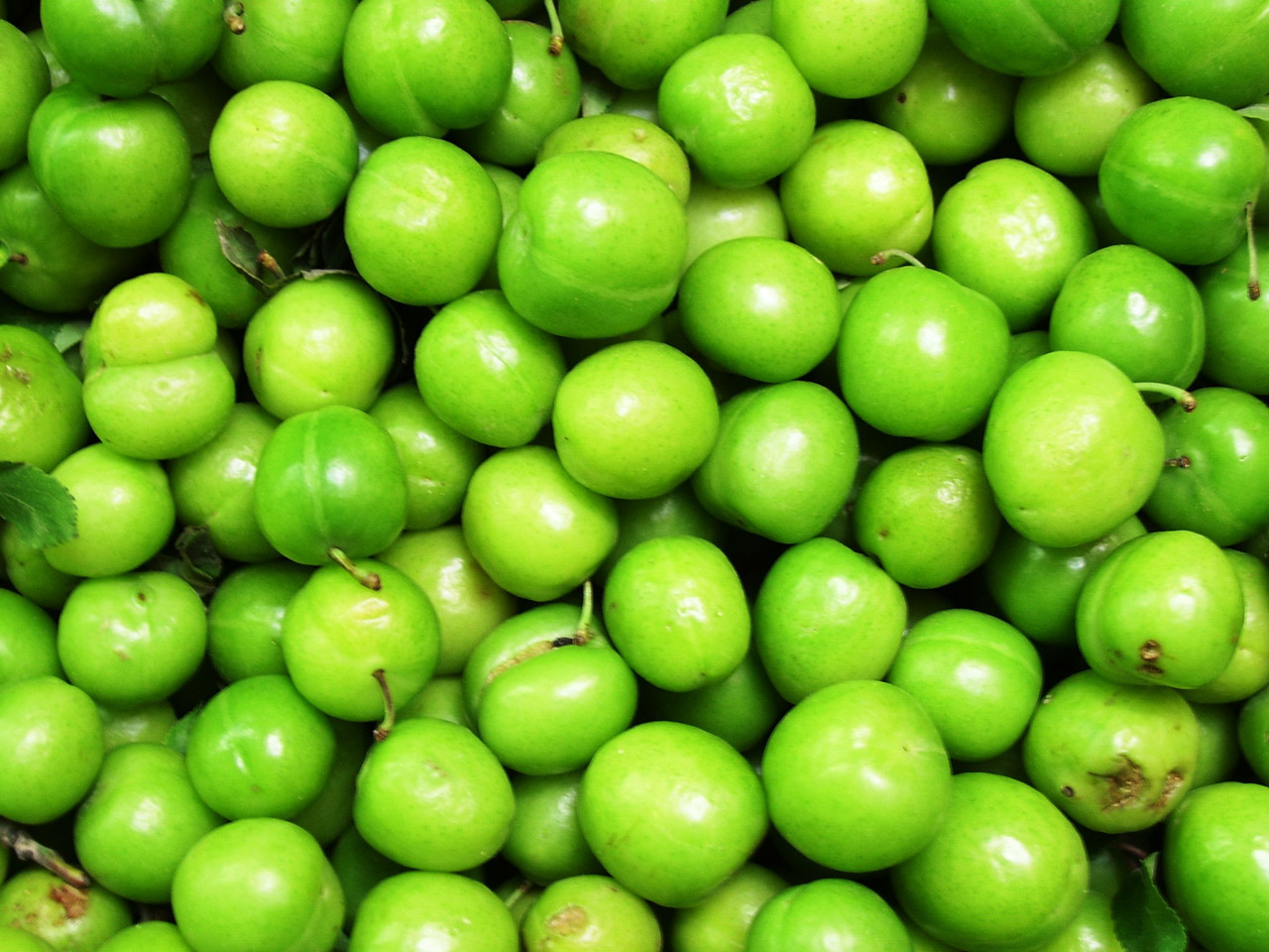 Curar olivas verdes
