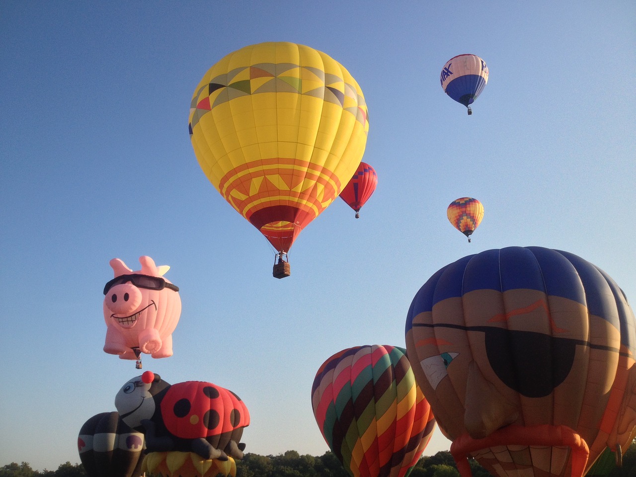 Download Hot Air Balloon Balloon Festival Plano Free Photo.