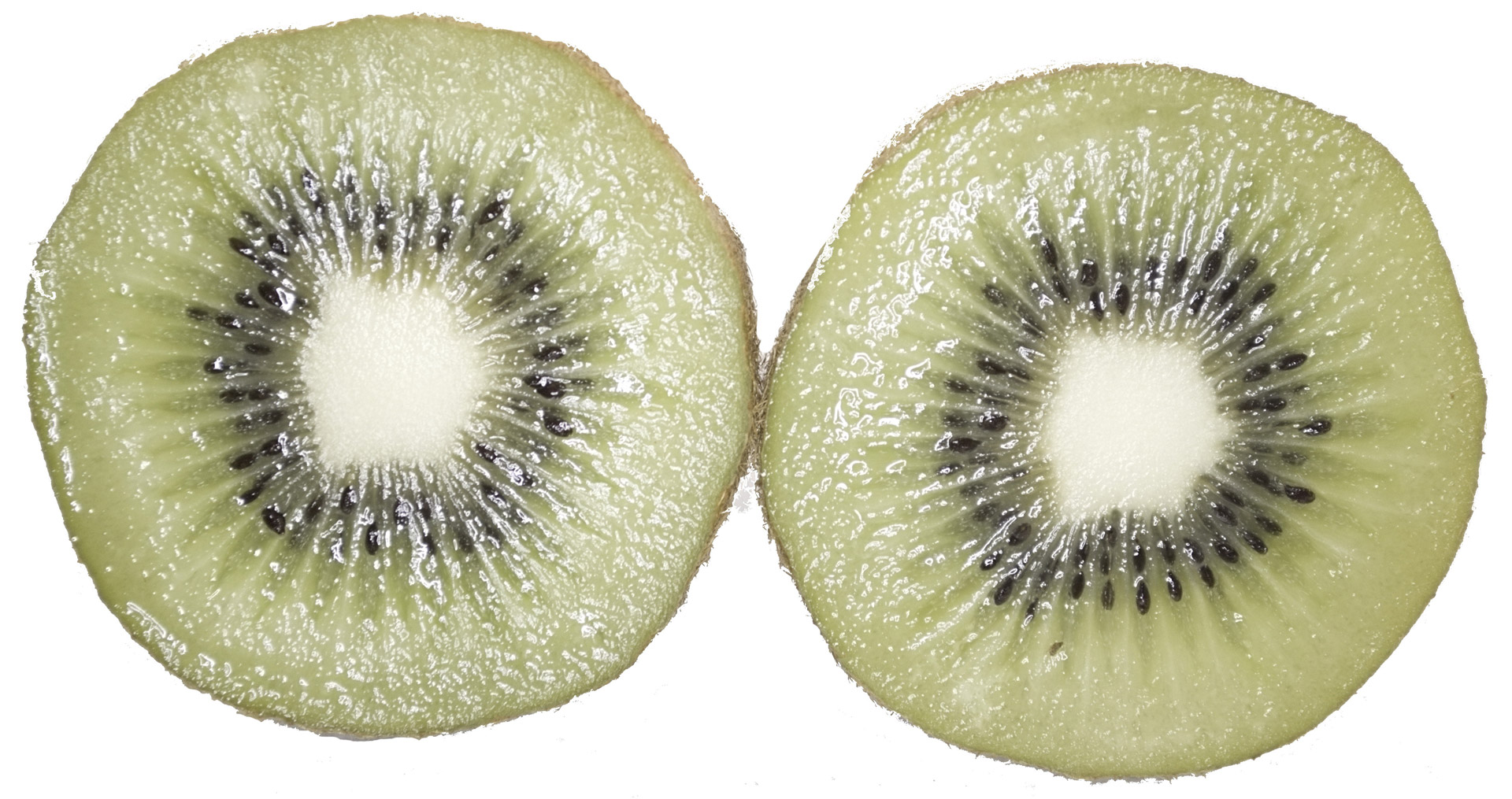 Download Kiwi Fruit Kiwi Free Photo.