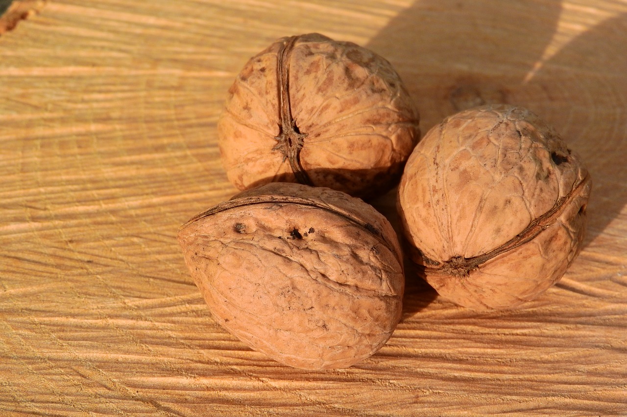 Nuts,walnuts,shell,walnut,free pictures - free photo from needpix.com AMP.