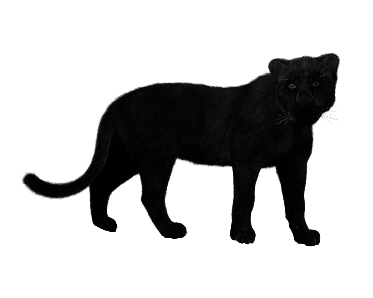 Download Panther Black Big Cat Mystical Free Photo.