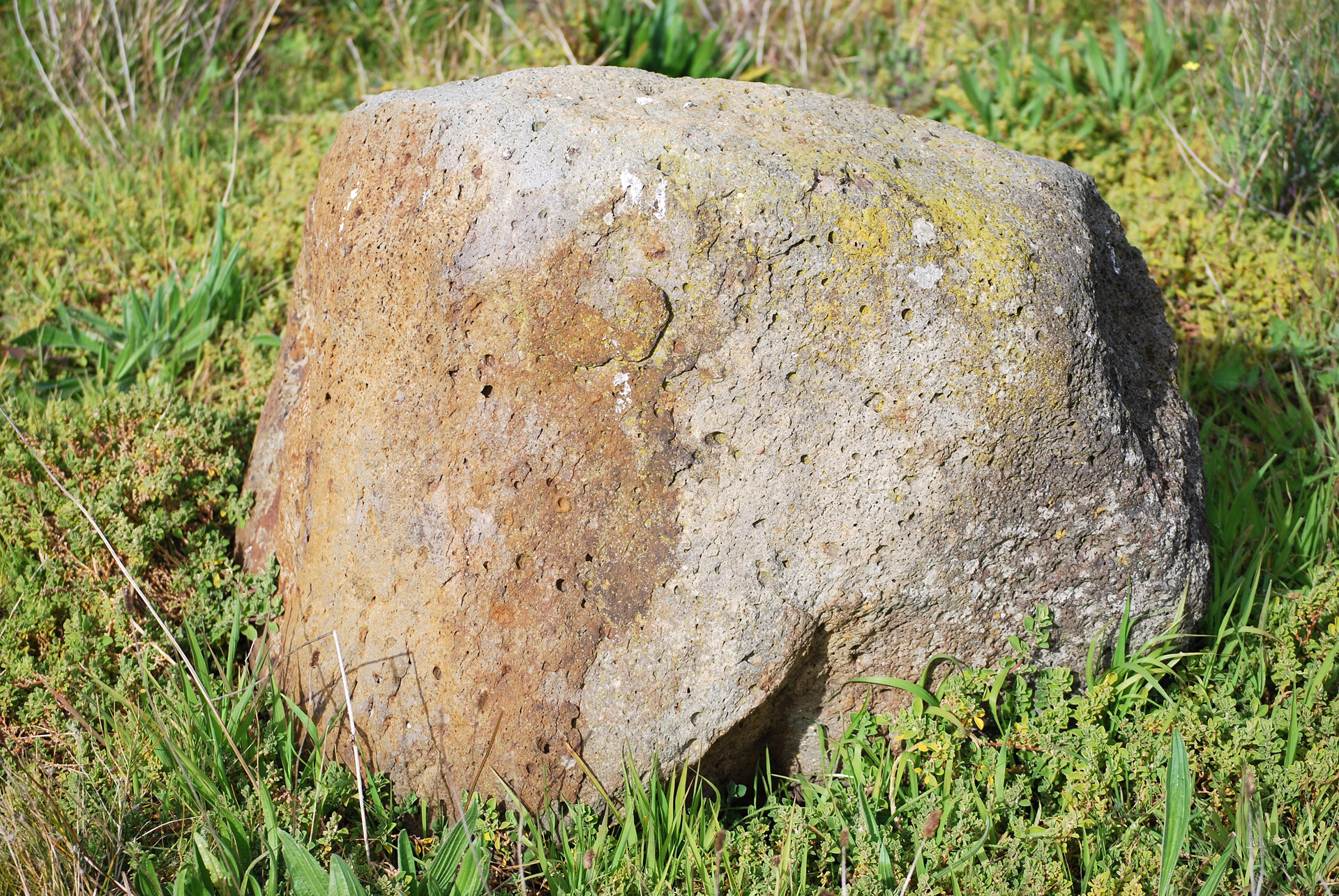 Печеный камень. Валун «Гомсин камень». Камень обыкновенный. Валун в траве. Огромный булыжник.