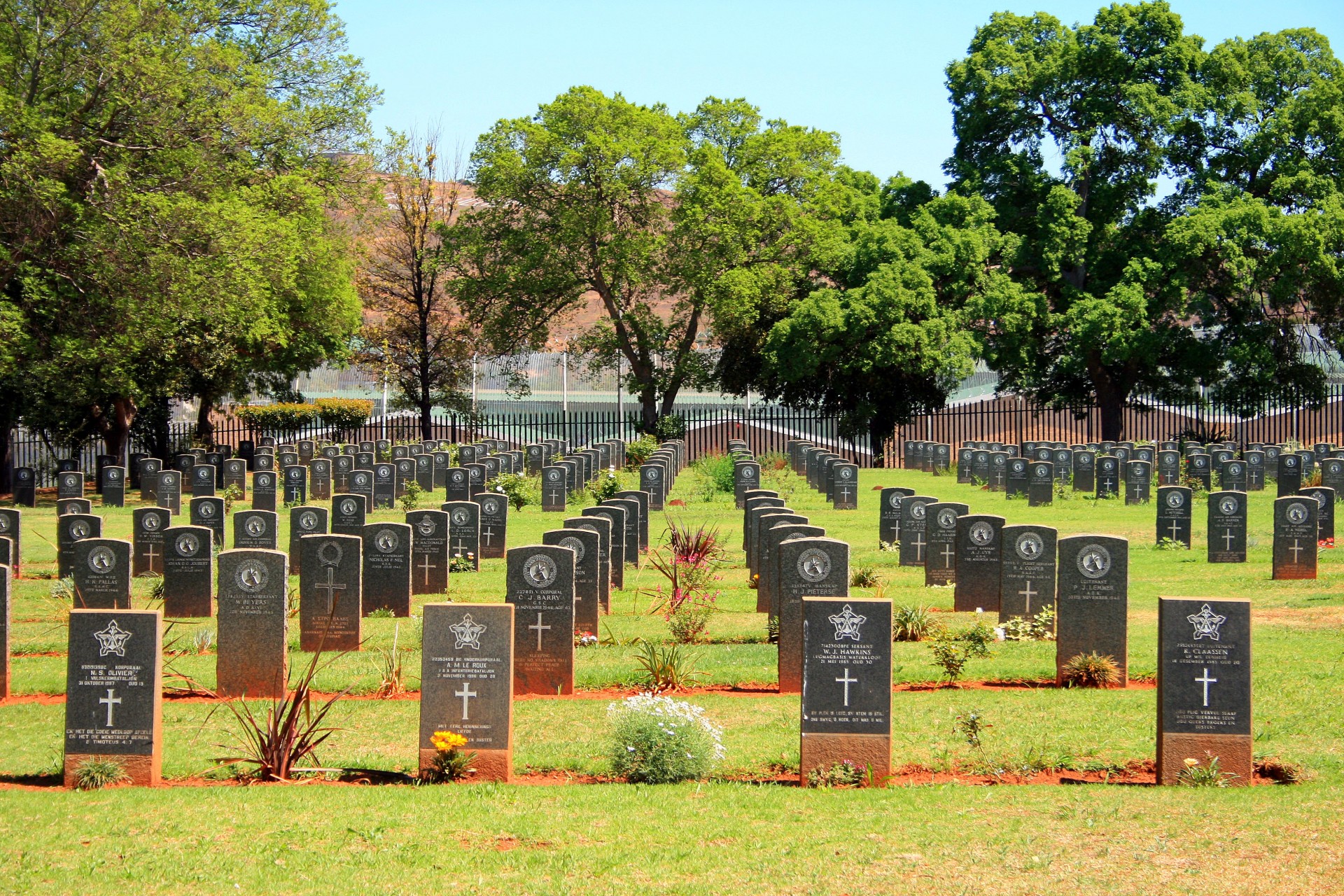 Tombstones,fallen,world war ii,thaba tshwane,rows of graves 