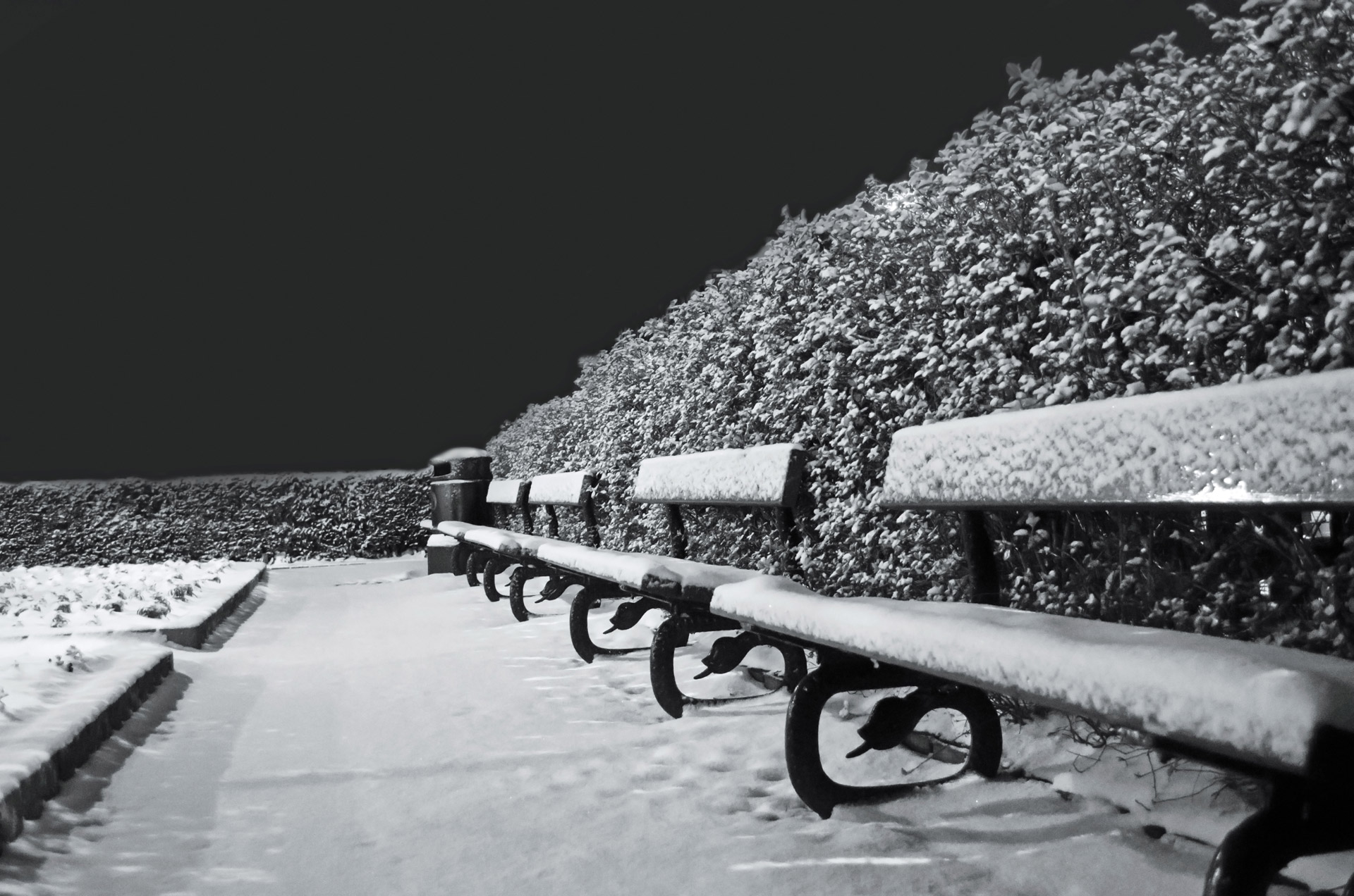 Черные снежки. Снег чб. Снегопад чёрно белый. Снег на скамейке белой. Заснеженная лавочка.
