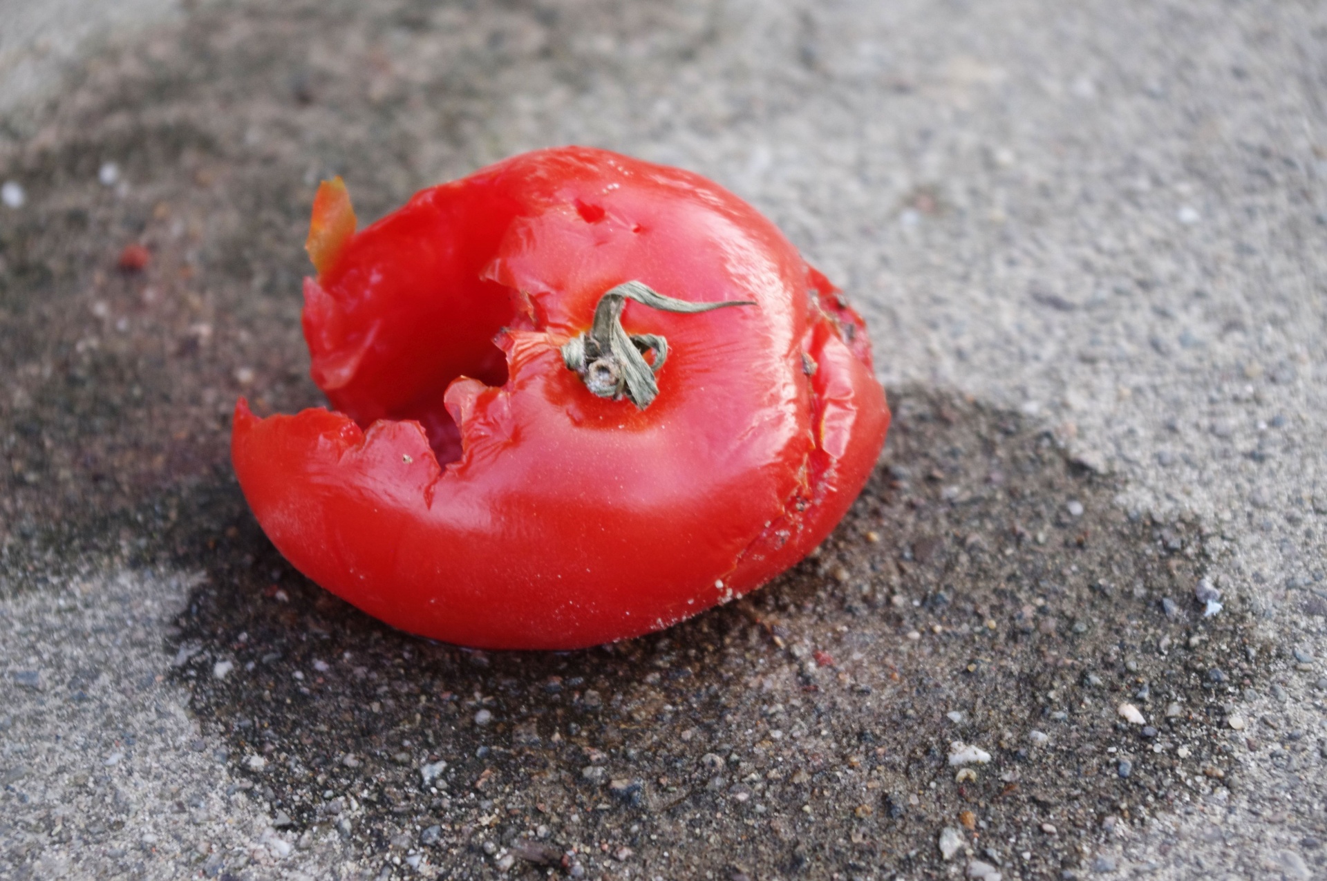 Download Tomato Food Waste Free Photo.