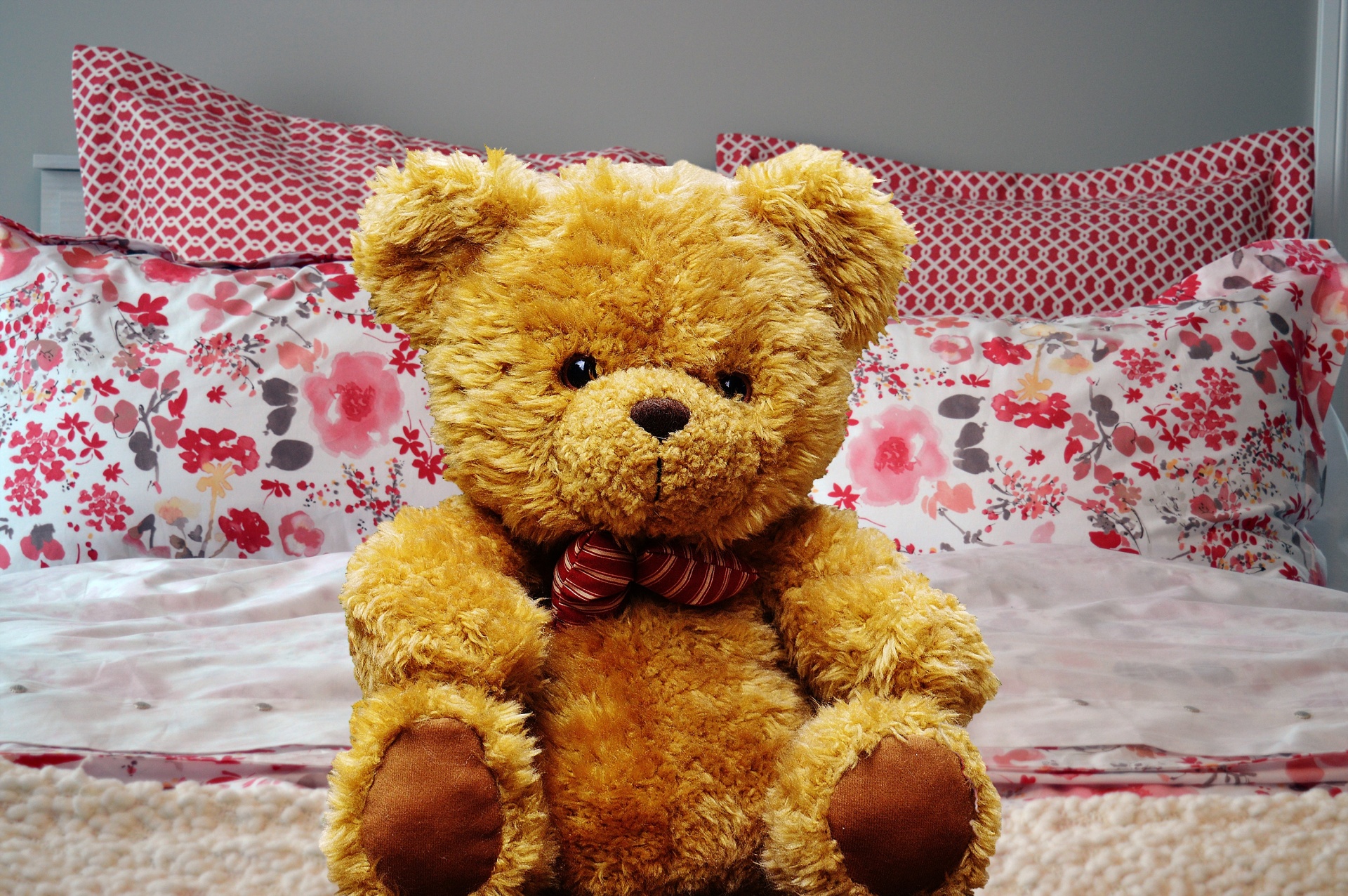 Bear Teddy Teddy Bear Free Photo.