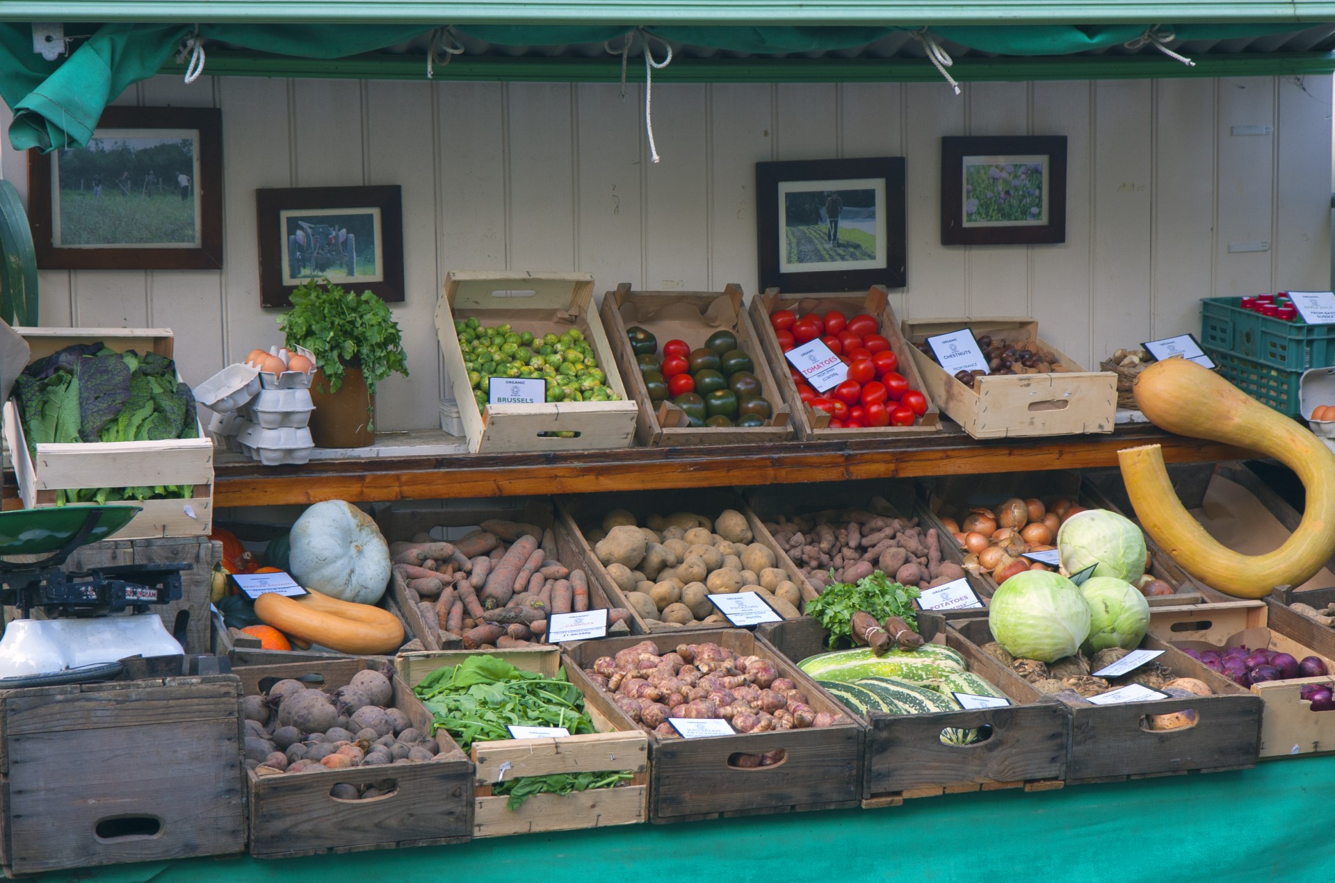 Рынок витрины. Овощи на рынке. Витрина с овощами на рынке. Прилавок с овощами и фруктами. Выкладка овощей и фруктов в ларьке.