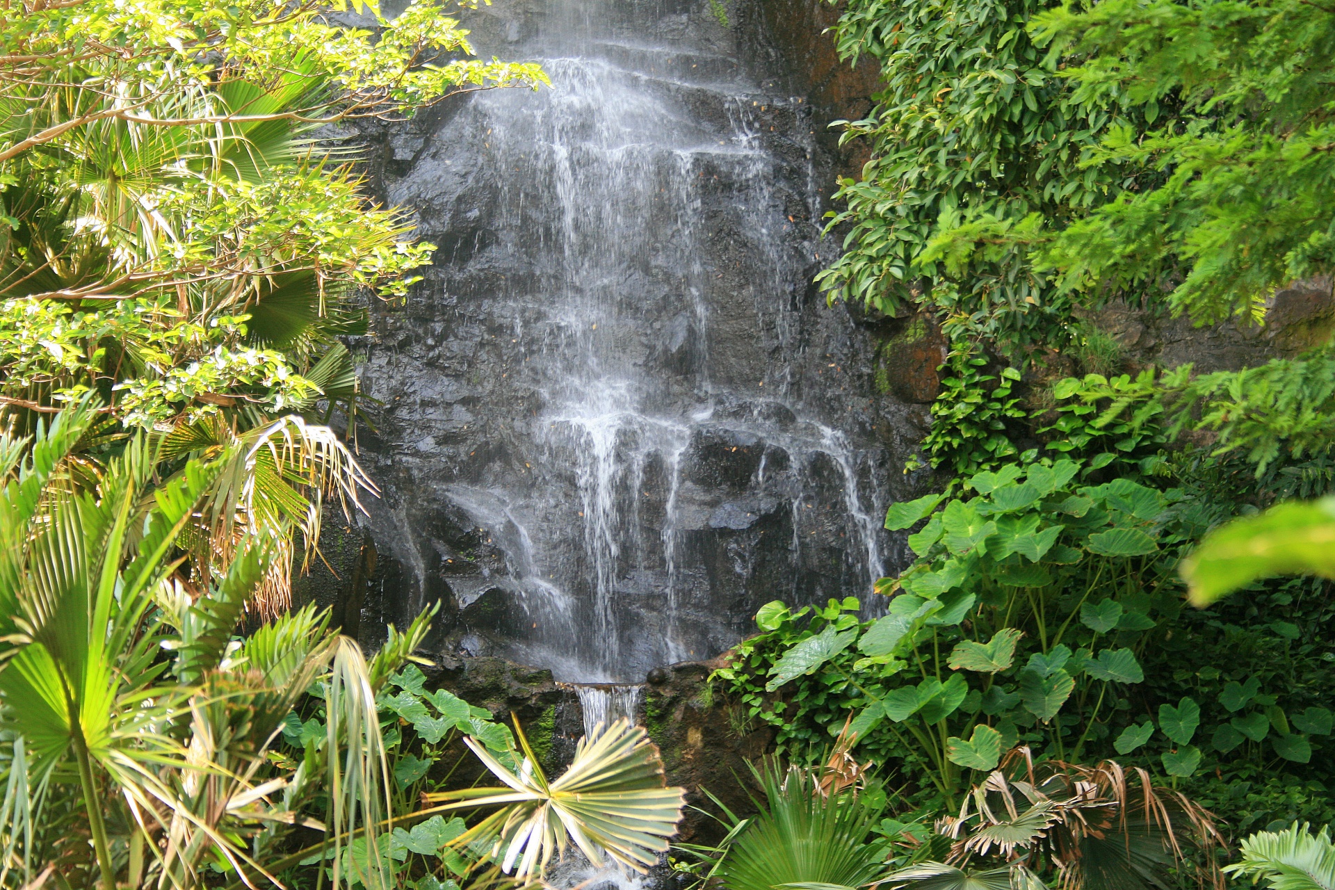 Download Garden Cliff Waterfall Free Photo.