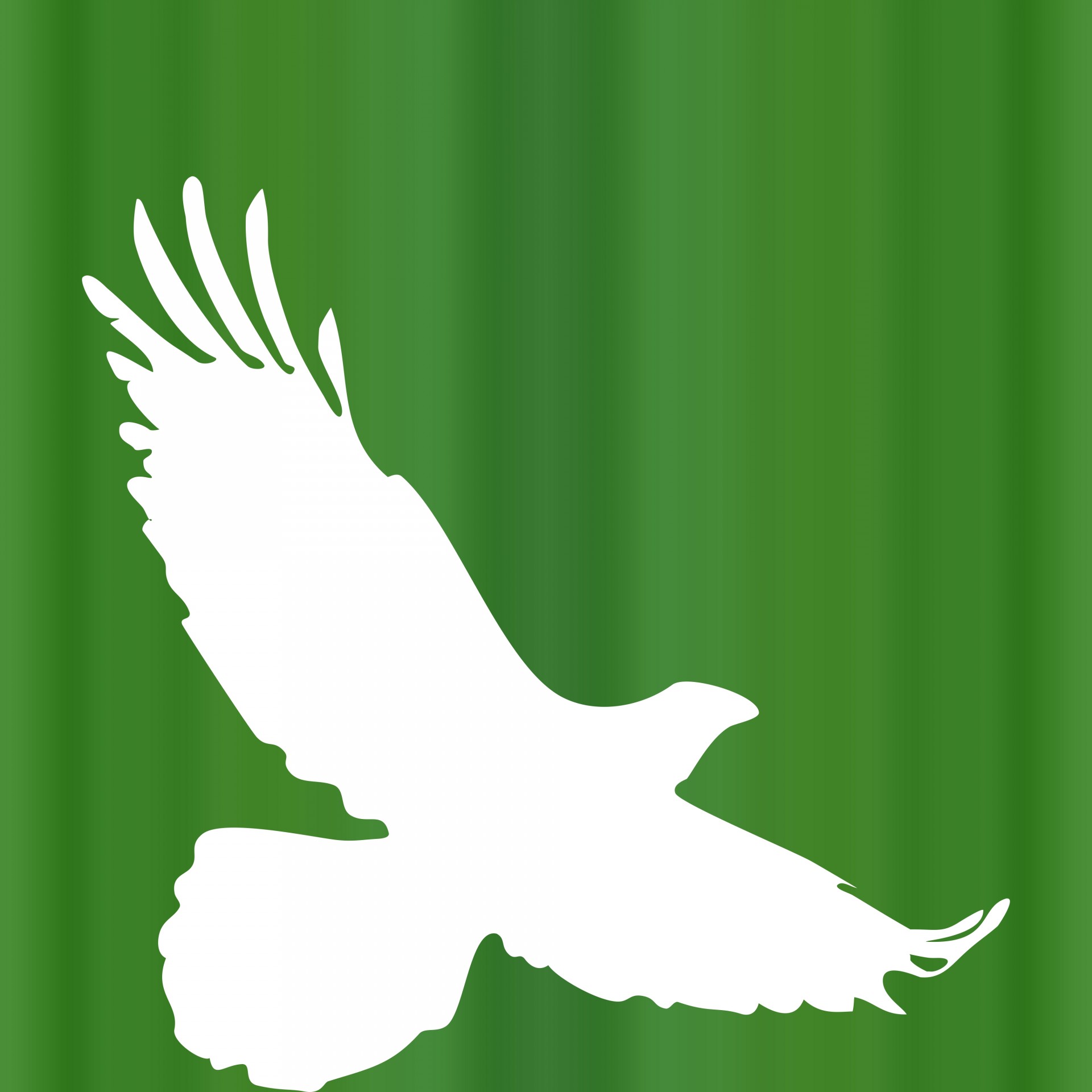 Simple bird. Силуэт птицы. Белый Орел. Орел шаблон. Орел на зеленом фоне.
